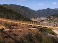 금산군 월영산 출렁다리 홍보영상