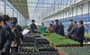 남성현 산림청장, 금산군 야생화 재배임가 방문