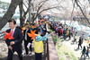금산군, 봄기운 ‘금산첨화’ 3색 봄꽃 만개