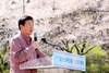 보곡산골 산벚꽃축제 9일 간의 대장정 돌입